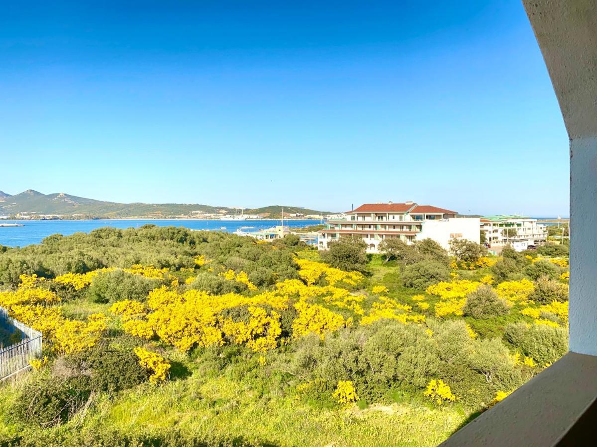 Homey Experience - Navy Sea View Apartments Όλμπια Εξωτερικό φωτογραφία